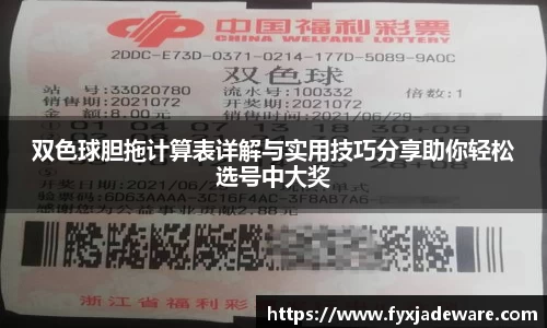 双色球胆拖计算表详解与实用技巧分享助你轻松选号中大奖