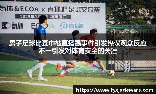 男子足球比赛中被直播踢事件引发热议观众反应不一引发对体育安全的关注